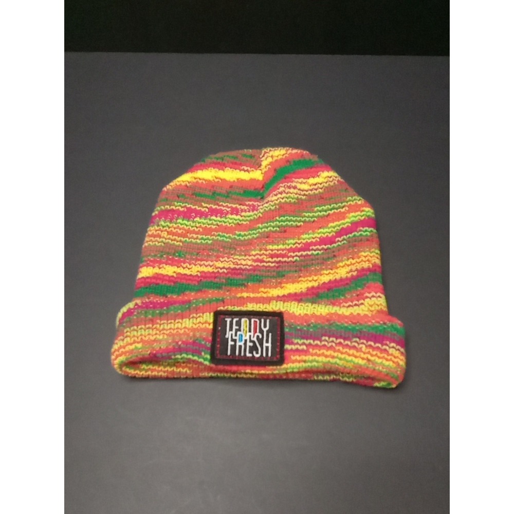 Teddy Fresh Beanie Hat Cap OSFM Multi-Color Bright Knit Cuff Logo Patch